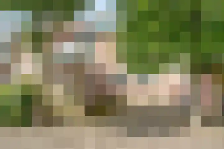 De Streep 14 Assendelft thumbnail 4