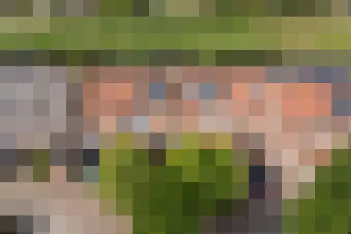 De Streep 14 Assendelft thumbnail 40