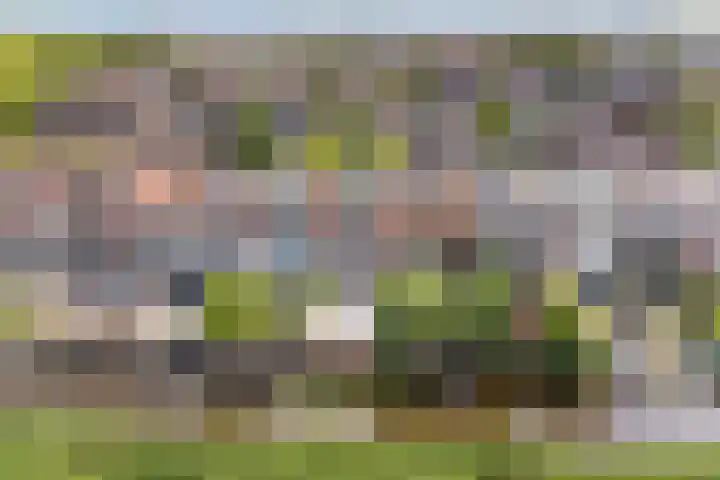 De Streep 14 Assendelft thumbnail 41
