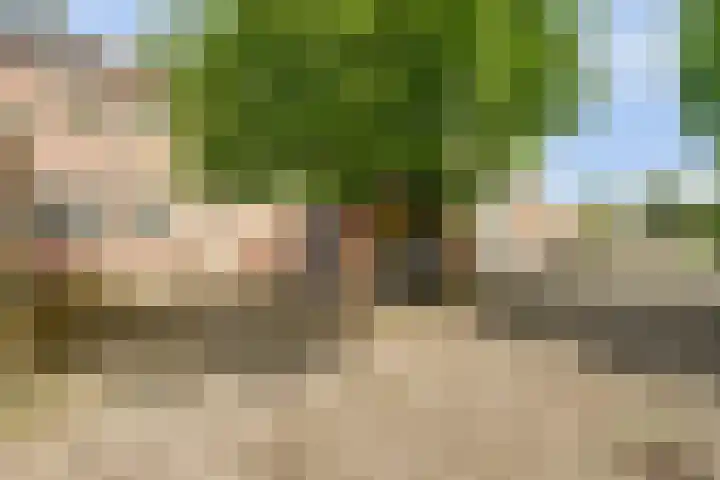 De Streep 14 Assendelft thumbnail 42