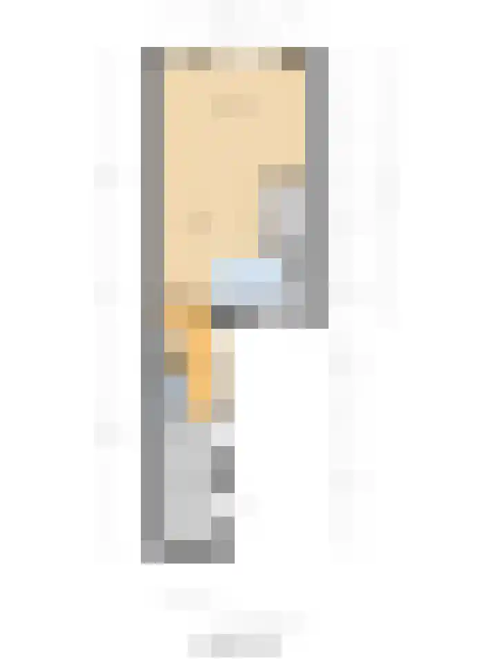 De Streep 14 Assendelft thumbnail 48