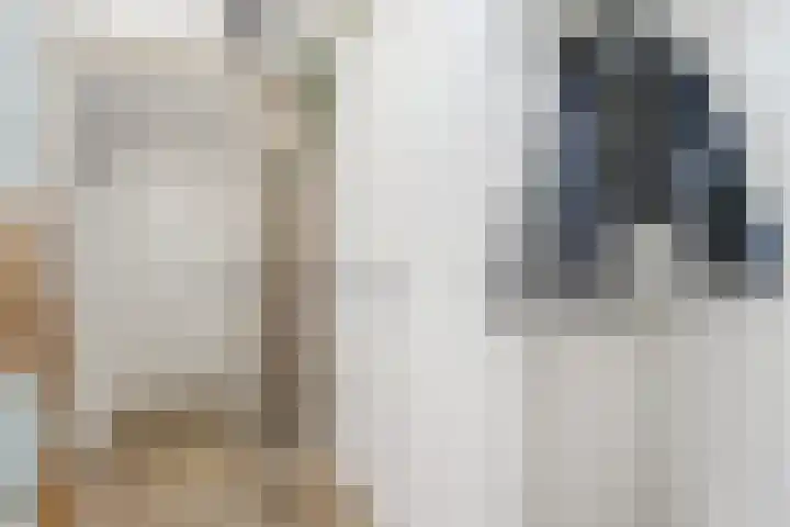 De Streep 14 Assendelft thumbnail 5