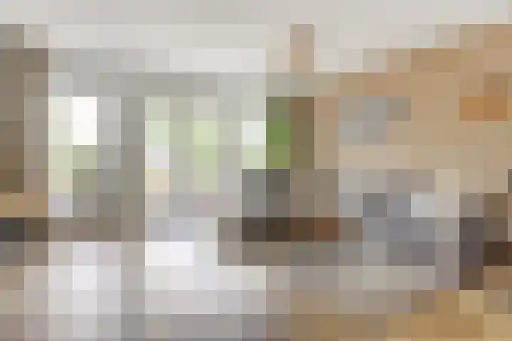 De Streep 14 Assendelft thumbnail 7