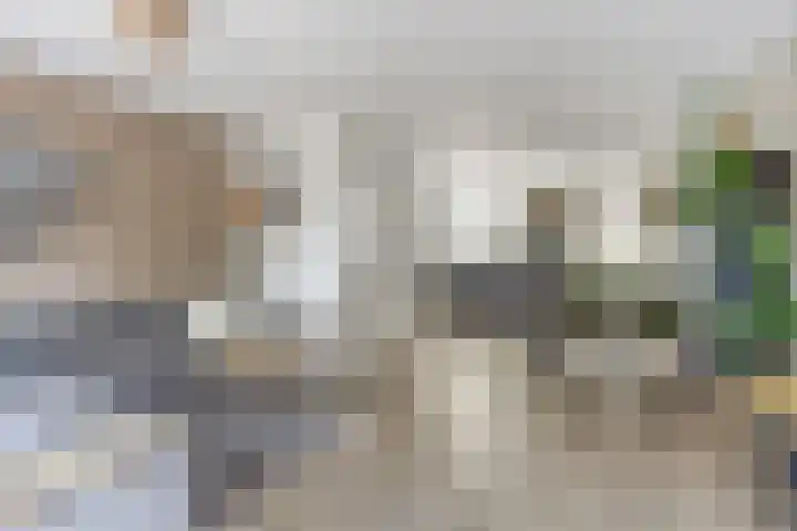 De Streep 14 Assendelft thumbnail 8