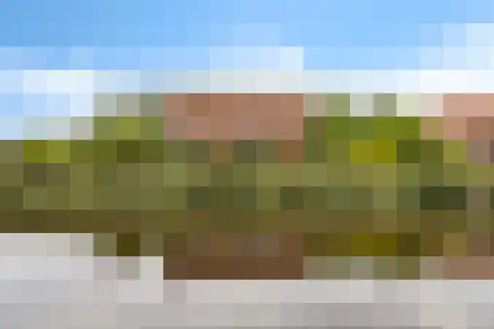 De Streep 14 Nieuwolda thumbnail 10