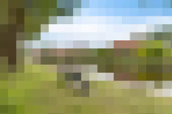 De Streep 14 Nieuwolda thumbnail 11