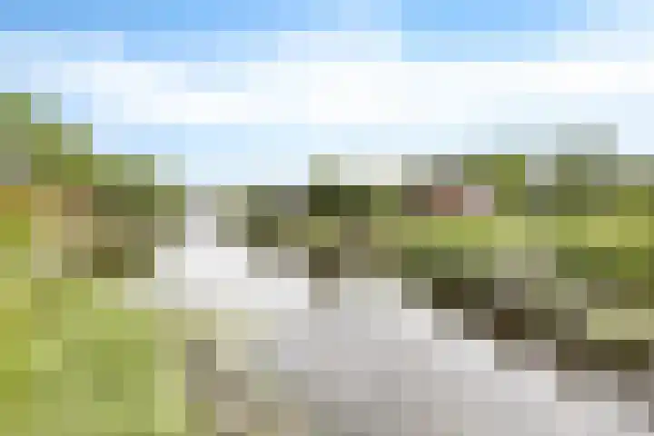 De Streep 14 Nieuwolda thumbnail 12