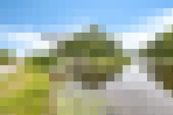 De Streep 14 Nieuwolda thumbnail 14