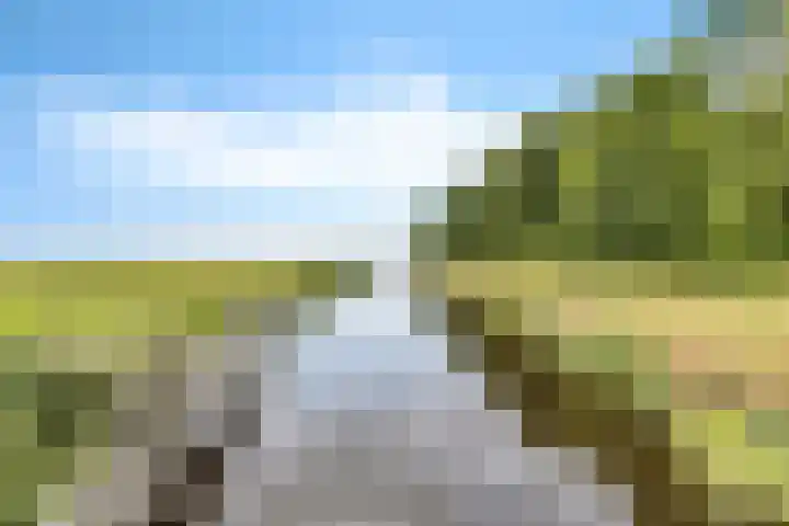 De Streep 14 Nieuwolda thumbnail 15