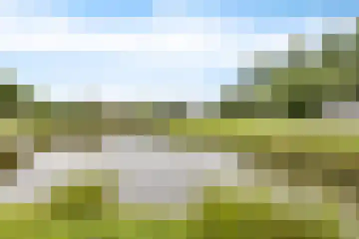 De Streep 14 Nieuwolda thumbnail 16