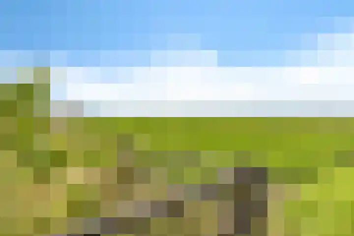 De Streep 14 Nieuwolda thumbnail 17