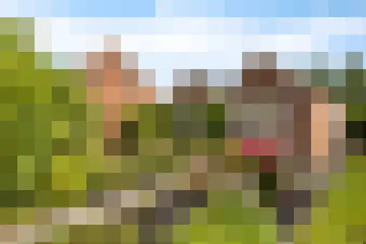 De Streep 14 Nieuwolda thumbnail 21