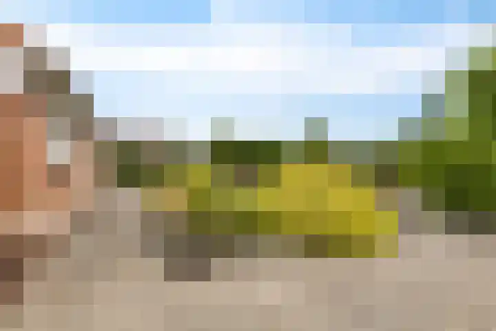 De Streep 14 Nieuwolda thumbnail 23