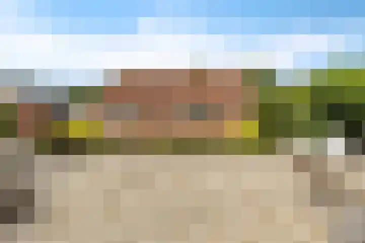 De Streep 14 Nieuwolda thumbnail 24
