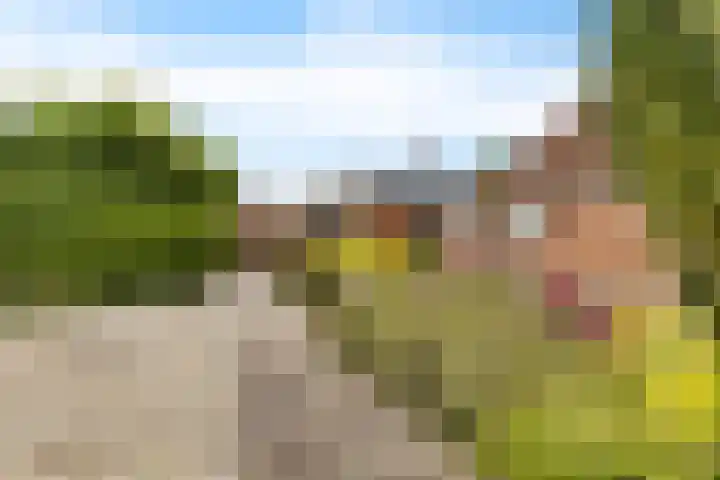 De Streep 14 Nieuwolda thumbnail 25