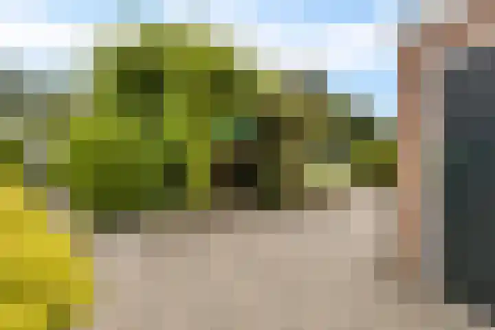 De Streep 14 Nieuwolda thumbnail 27