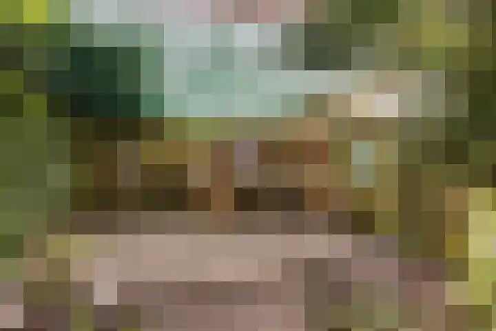 De Streep 14 Nieuwolda thumbnail 28
