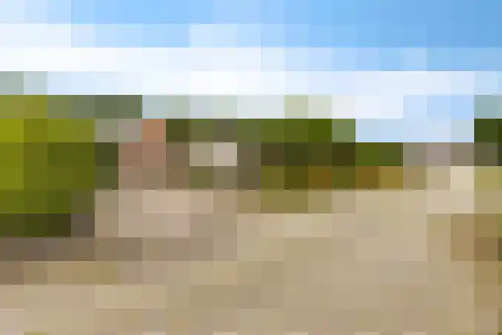 De Streep 14 Nieuwolda thumbnail 30