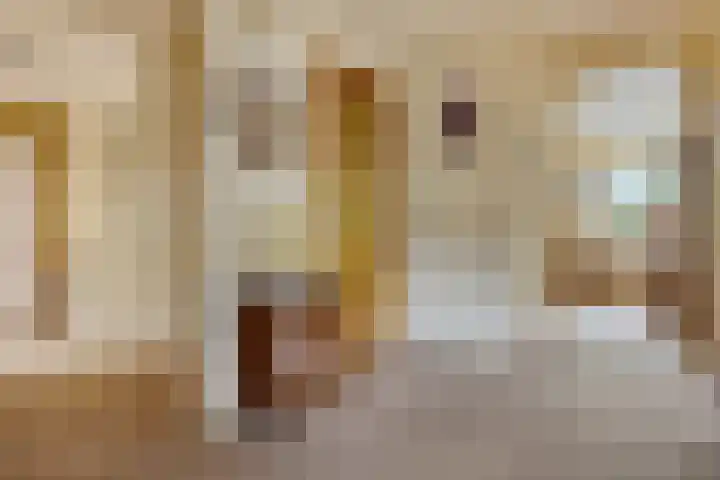 De Streep 14 Nieuwolda thumbnail 34
