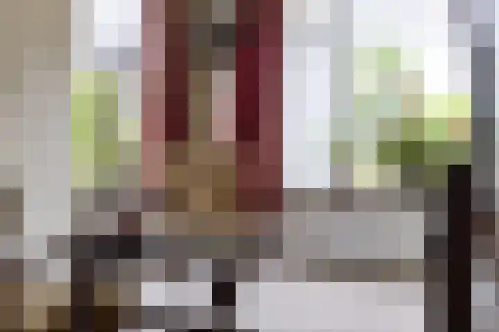 De Streep 14 Nieuwolda thumbnail 37