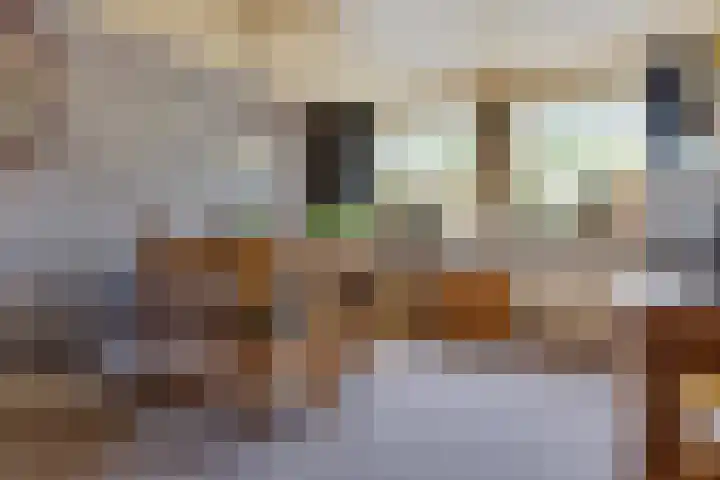 De Streep 14 Nieuwolda thumbnail 39