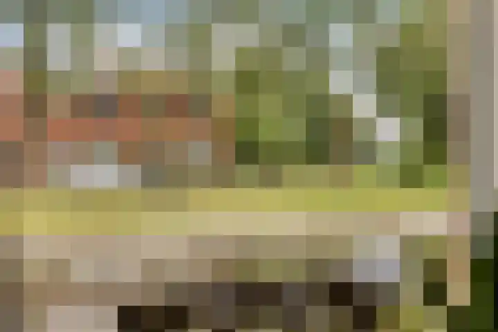 De Streep 14 Nieuwolda thumbnail 40