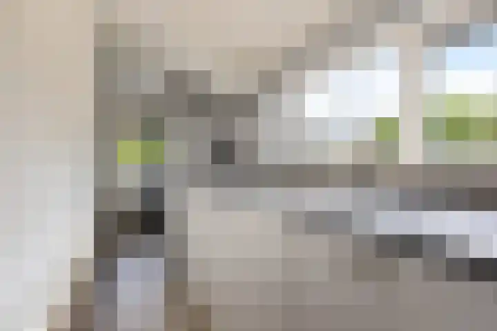 De Streep 14 Nieuwolda thumbnail 42