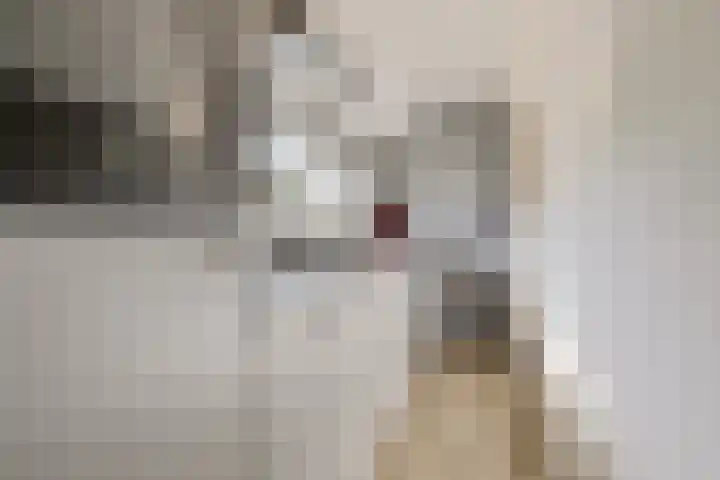 De Streep 14 Nieuwolda thumbnail 43