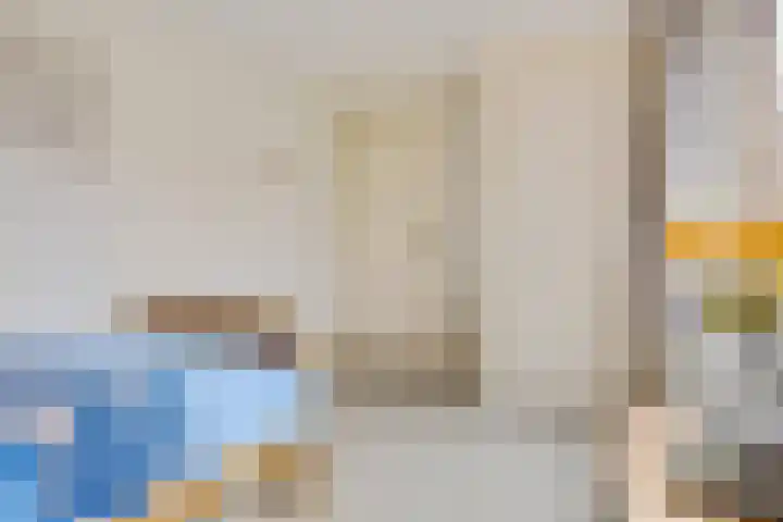 De Streep 14 Nieuwolda thumbnail 45