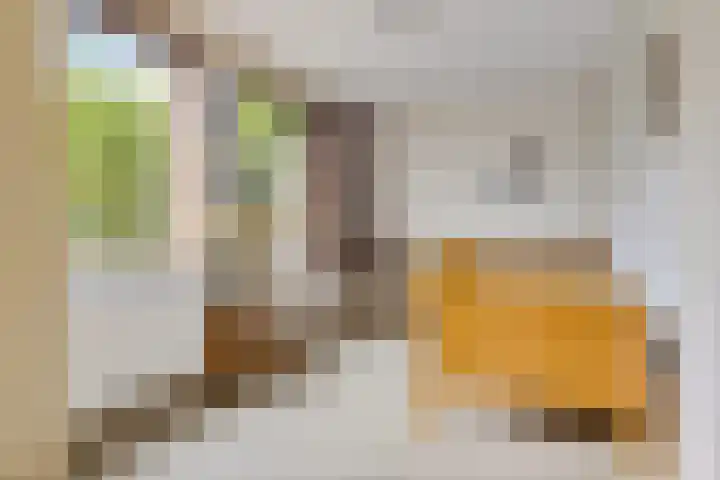 De Streep 14 Nieuwolda thumbnail 46