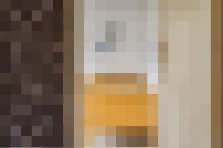 De Streep 14 Nieuwolda thumbnail 47