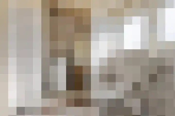 De Streep 14 Nieuwolda thumbnail 49