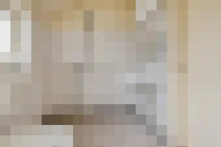 De Streep 14 Nieuwolda thumbnail 50