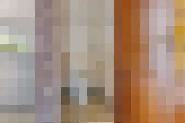 De Streep 14 Nieuwolda thumbnail 51