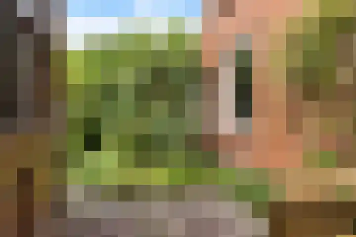 De Streep 14 Nieuwolda thumbnail 52
