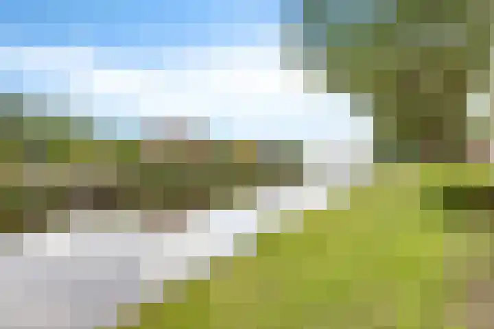 De Streep 14 Nieuwolda thumbnail 55