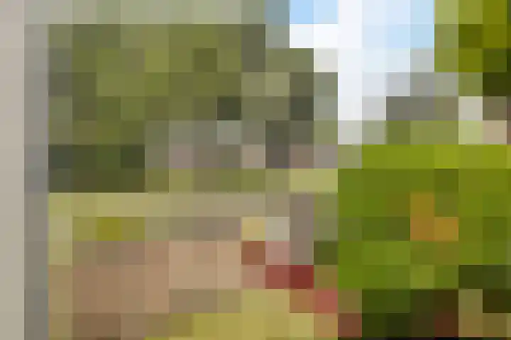 De Streep 14 Nieuwolda thumbnail 6