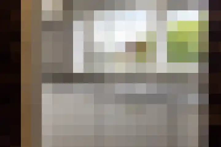 De Streep 14 Nieuwolda thumbnail 7