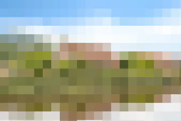 De Streep 14 Nieuwolda thumbnail 9