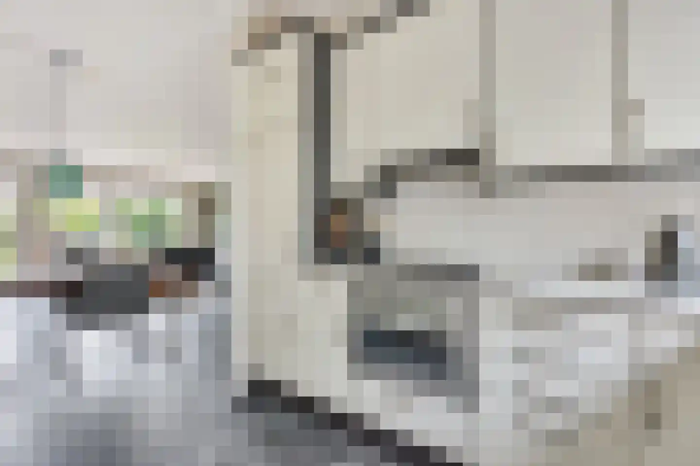 De Streep 44 Assendelft thumbnail 13