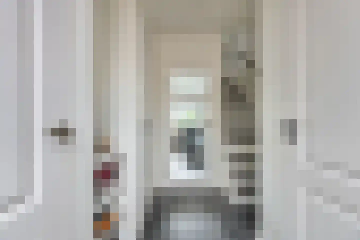 De Streep 44 Assendelft thumbnail 14