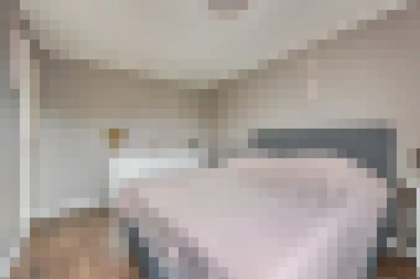 De Streep 44 Assendelft thumbnail 16