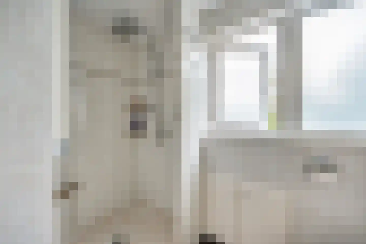 De Streep 44 Assendelft thumbnail 22