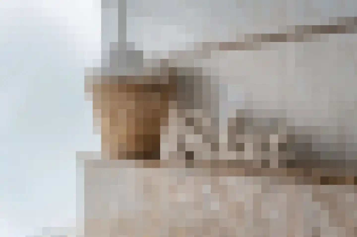 De Streep 44 Assendelft thumbnail 24