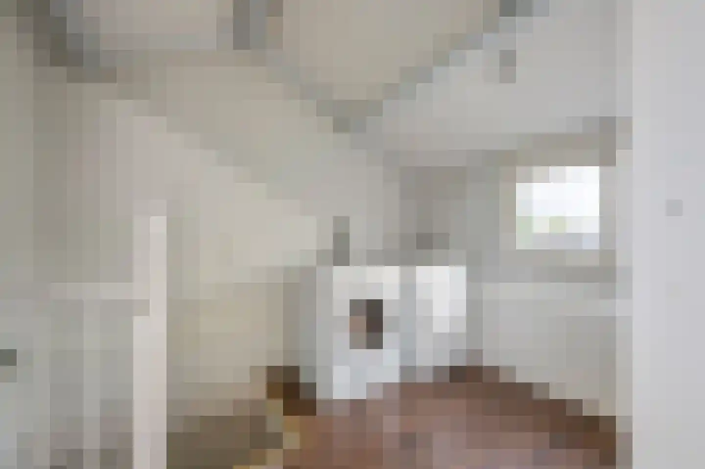 De Streep 44 Assendelft thumbnail 28