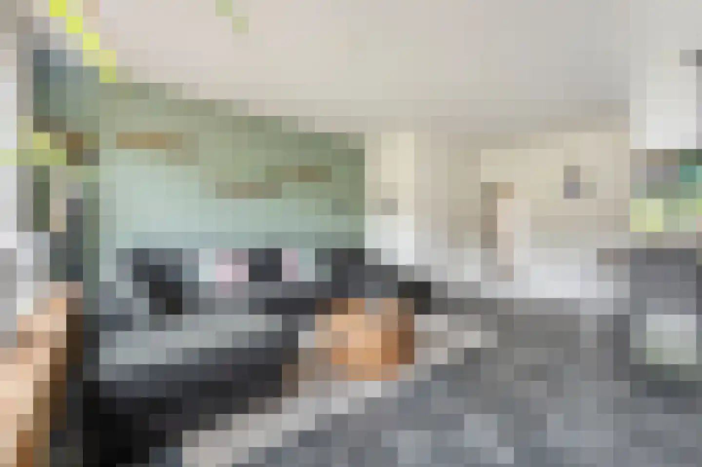 De Streep 44 Assendelft thumbnail 4