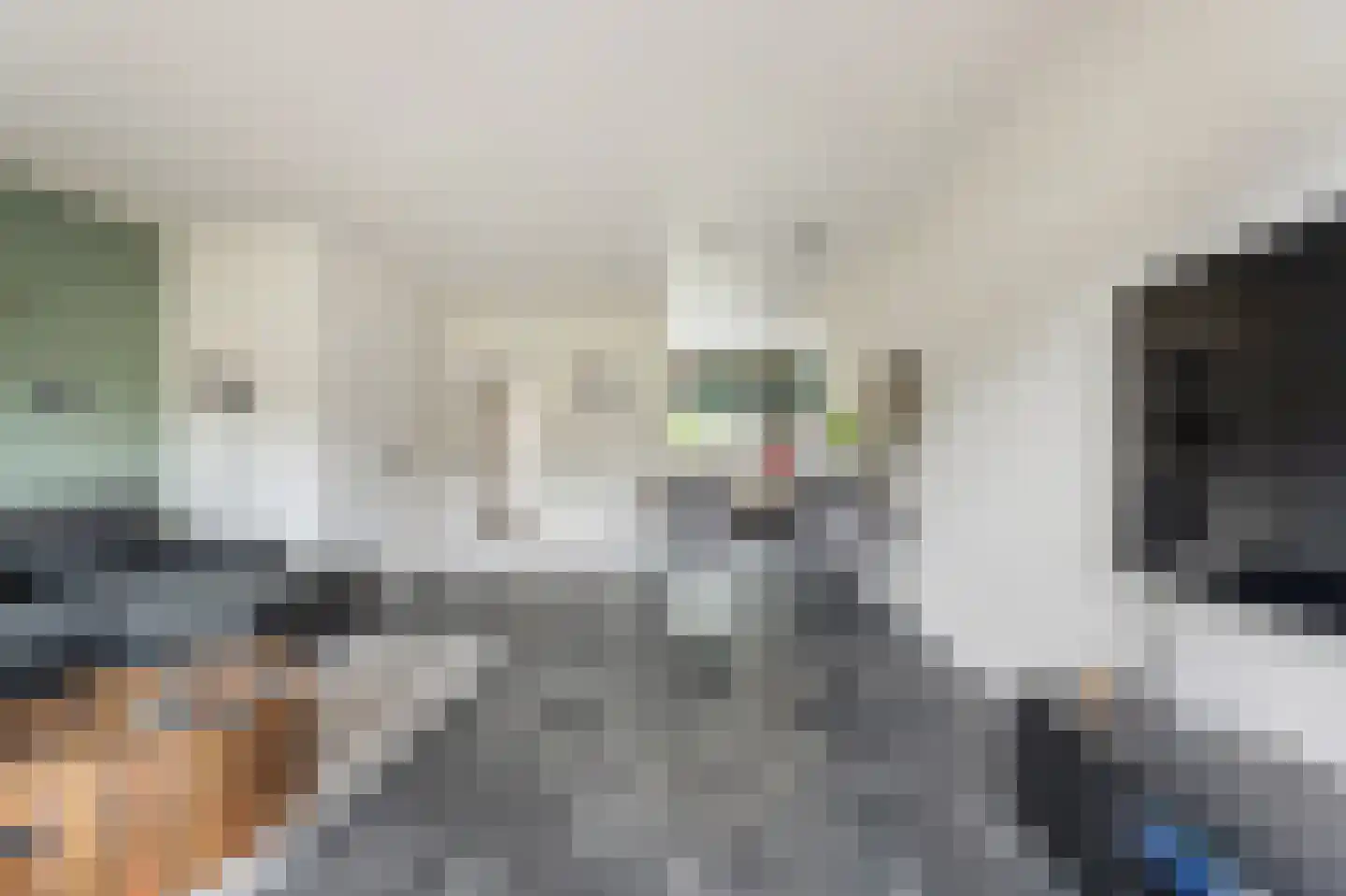 De Streep 44 Assendelft thumbnail 5