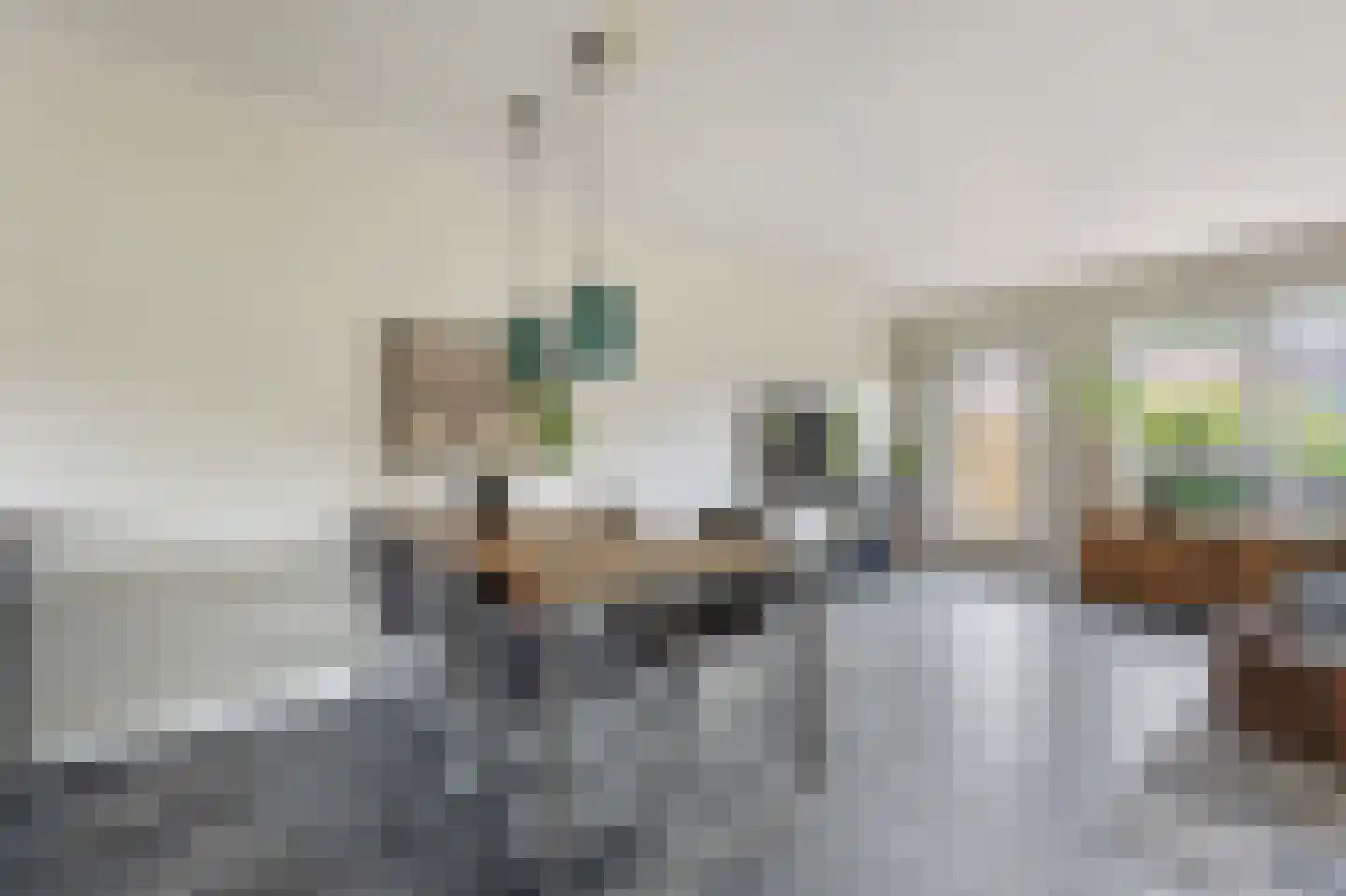 De Streep 44 Assendelft thumbnail 6
