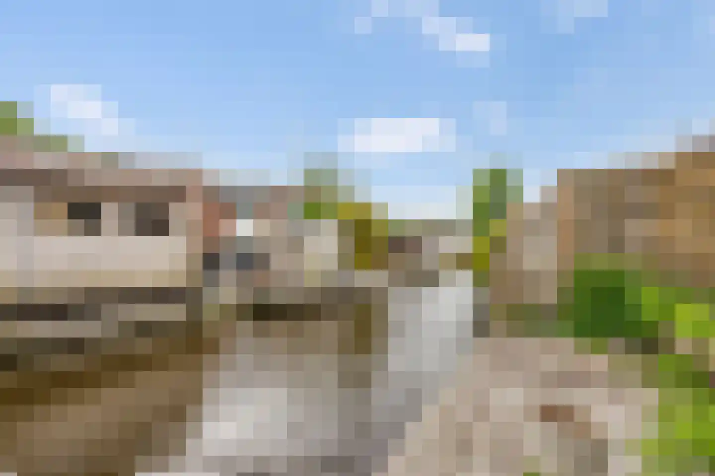 De Streep 44 Assendelft thumbnail 8