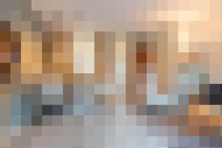 De Streep 54 Assendelft thumbnail 10